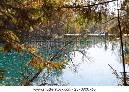 Blue Lake, the source of the Red Key in Bashkortostan, deciduous and coniferous trees around it.