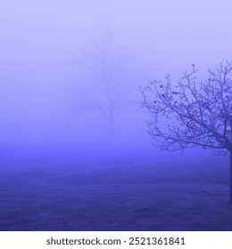 Blue landscape, lonely apple tree with bare branches, foggy atmosphere, blue photo