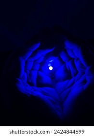 Blue light in hands 🙌🏻