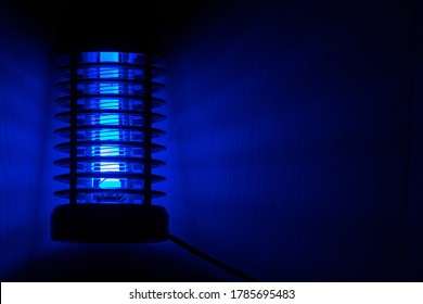 The Blue Light Night Light Is An Insect Killer.