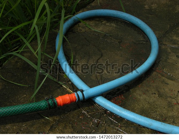 blue loop of\
rubber hose on the wet\
concrete.