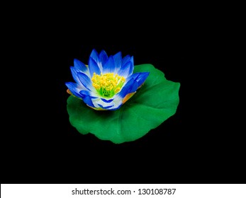 Blue Lotus