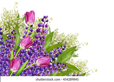 Blue lupines beautiful flowers on a white background. tulip - Shutterstock ID 454289845