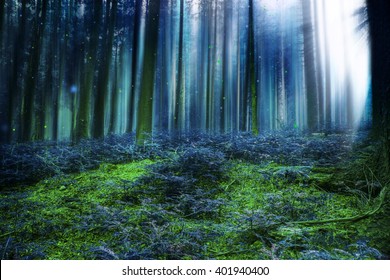 Blue magic fairytale forest with mysterious lights