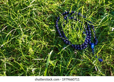 Blue mala beads (lapislazuli) in green grass, close up and view from above. Buddhist prayer beads for japa meditation - Powered by Shutterstock