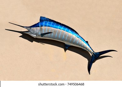 Blue Marlin Fish Mounted On Exterior Wall