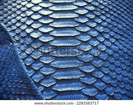Blue matte leather for accessories. Expensive exotic python skin, snakes. Haberdashery leather.