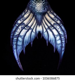 Blue Mermaid Tail Fluke, Design Detail, On Black Background