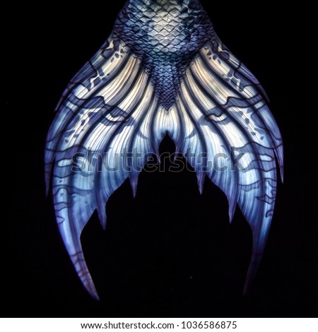 Blue Mermaid tail fluke, design detail, on black background
