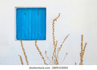 Blue minimalistic window shutter on white wall with dry plants.
A bright blue wooden shutter on a whitewashed Mediterranean wall is framed by dry golden plants in a minimalist outdoor scene.
