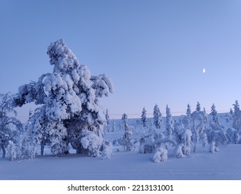 Blue Moment In Saariselkä, Lapland, Finland 