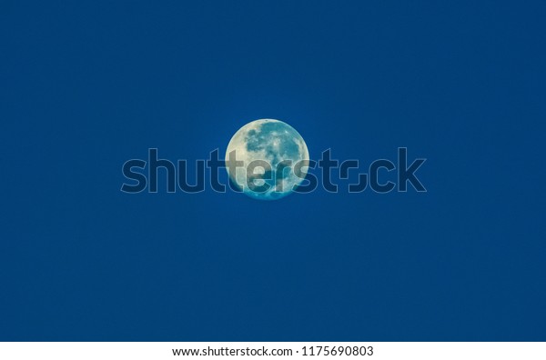 blue moon / Real moon on night blue sky\
background with full moon selective\
focus
