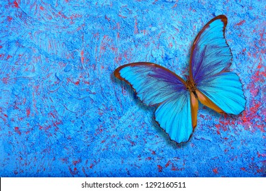 277 Crushed butterflies Images, Stock Photos & Vectors | Shutterstock