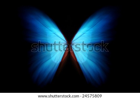 Blue morpho with zoom effect
