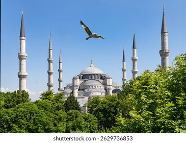 Mezquita Azul (Sultanahmet Cami) en las Luces del Atardecer Drone Foto, Sultanahmet Fatih, Estambul Turquía (Turquía)