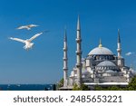 Blue Mosque (Sultanahmet Camii) in Istanbul, Turkey. Blue Mosque with seagulls.