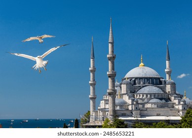 Blue Mosque (Sultanahmet Camii) in Istanbul, Turkey. Blue Mosque with seagulls. - Powered by Shutterstock