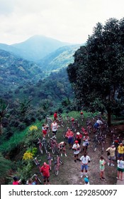 Blue Mountain, Jamaica, Downhill Bike Tour, March 2, 1999