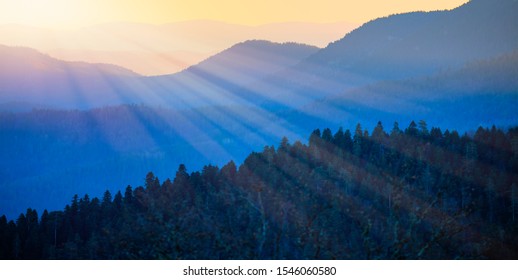 Blue mountain landscape with fog and pine forest at sunset - Shutterstock ID 1546060580