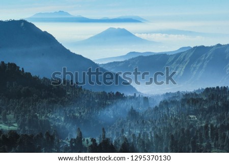 blue mountain layer