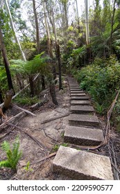 Blue Mountain Looks Dry After Having Forest Fire