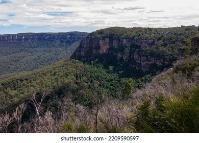 Blue Mountain Looks Dry After Having Forest Fire