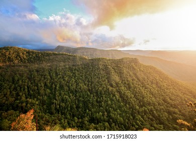 Blue Mountains, Australia, Rain Forest, Green Canyon