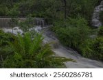 The Blue Mountains of NSW near Sydney feature misty mountains, lush forests, and cascading waterfalls under a soft rain.