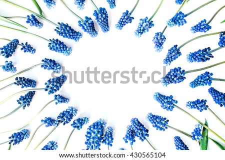 Similar – Image, Stock Photo An isolated blue flower in the green grass