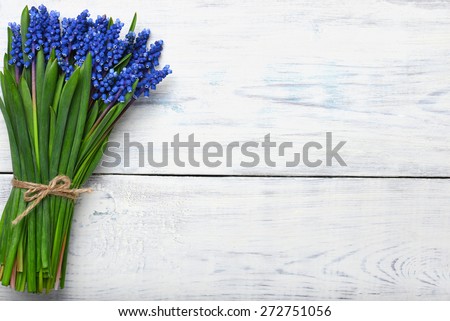 blue Muscari spring flowers bouquet on wooden table. Top view, copy space.