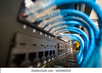 Blue Network Cable System In Network Rack