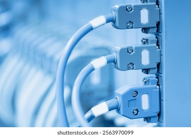 Blue network cables connected to server ports in data center.