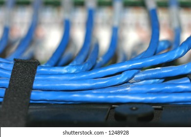 Blue Network Connecting Cabling