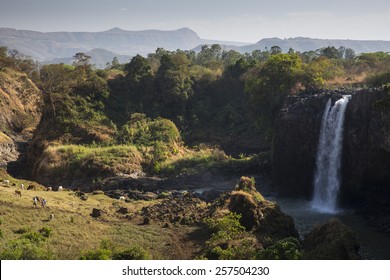 Blue Nile Falls, Bahir Dar