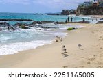 blue ocean water, crashing waves,  with seagulls in flight in people on the beach blue skies and the beach at 1000 Steps Beach in Laguna Beach California USA