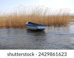 Blue old rowing boat anchored on a lake with yellow grass weeds in lake on a sunny day in Ohrid