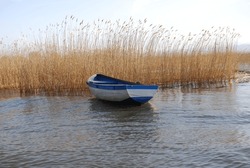 Barco De Remo Azul Viejo Anclado En Un Lago Con Hierba Amarilla Maleza En El Lago En Un Día Soleado En Ohrid
