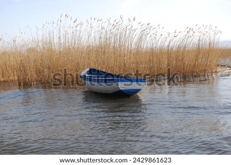 Blue old rowing boat anchored on a lake with yellow grass weeds in lake on a sunny day in Ohrid