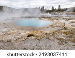 Blue Opal pool with Firehole River in background, Biscuit Basin, Yellowstone National Park