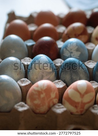 Blue and Orange Dyed Easter Eggs with Floral Imprints in Egg Carton