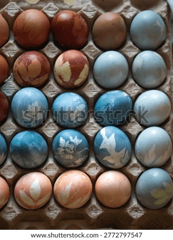 Blue and Orange Dyed Easter Eggs with Floral Imprints in Egg Carton