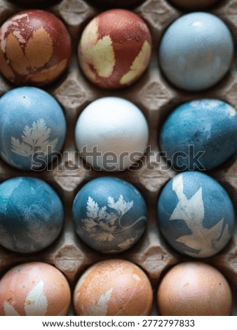 Blue and Orange Dyed Easter Eggs with Floral Imprints in Egg Carton