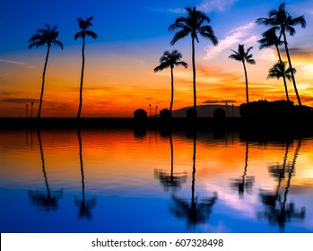 Blue Orange Sunset With Palm Trees