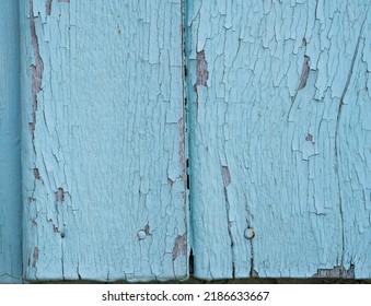 Blue Paint, Blue Paint For The House, Exterior Paint, Applied On The Wooden Floor, Peeling Off The Wood, Breaking Into Pieces.