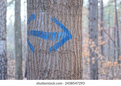 blue painted arrow pointer on a gray tree trunk in the forest