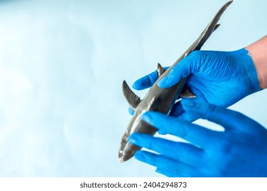 Blue painted hands holding shark with blue background and copy space - Powered by Shutterstock