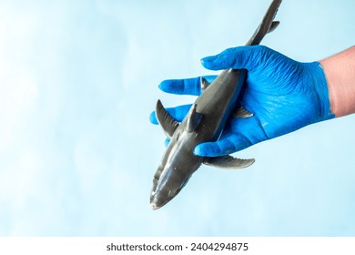 Blue painted hands holding shark with blue background and copy space - Powered by Shutterstock