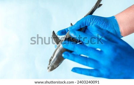 Blue painted hands holding shark with blue background and copy space