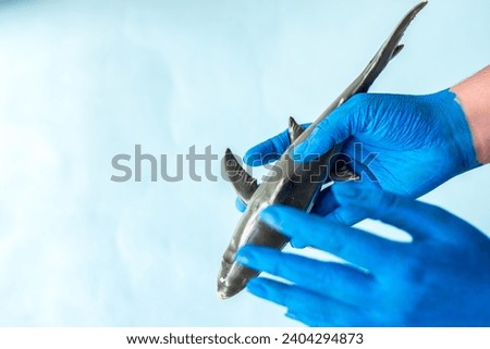 Blue painted hands holding shark with blue background and copy space
