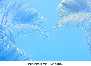 春夏背景high Res Stock Images Shutterstock